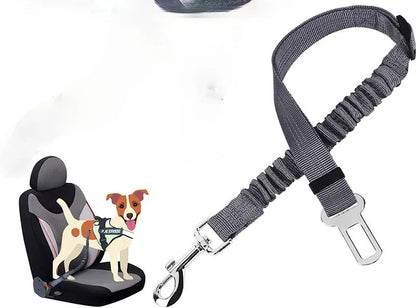 FlexiSafe Ride Leash