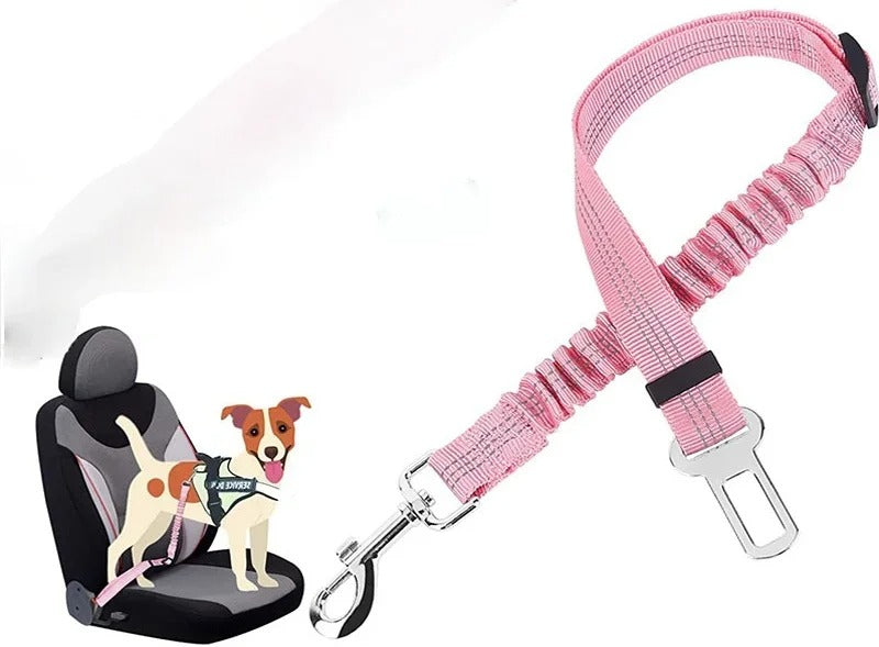 FlexiSafe Ride Leash
