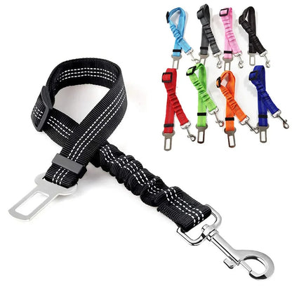 FlexiSafe Ride Leash