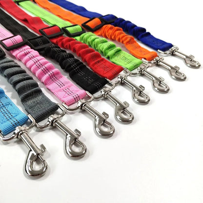 FlexiSafe Ride Leash